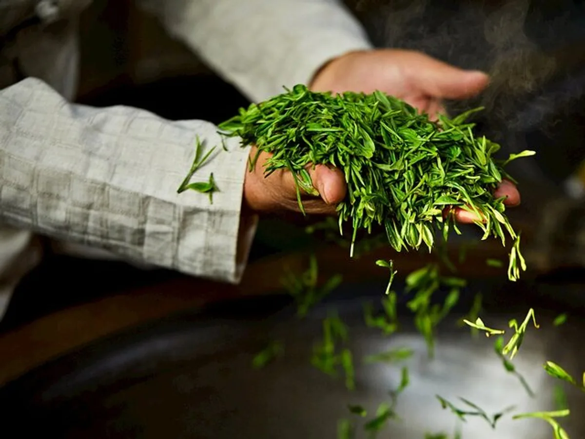 Authentic Hangzhou Longjing Tea Culture Experience Tour