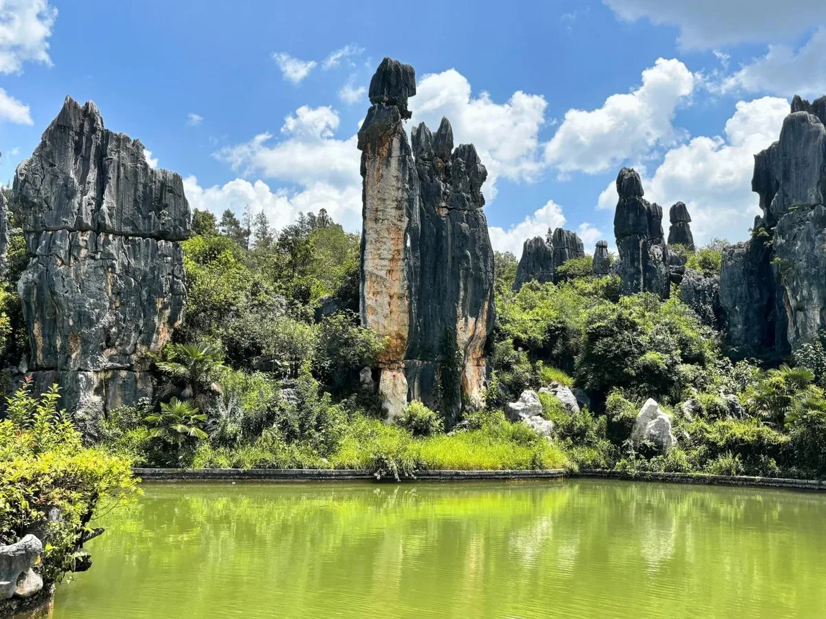 Kunming: Stone Forest, Roast Duck Lunch and City Tour